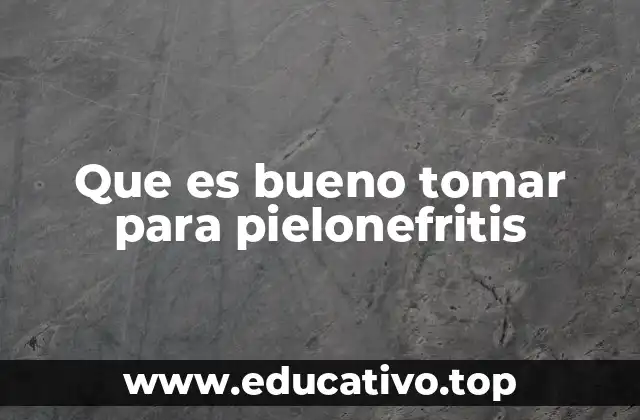 La importancia de una dieta adecuada en infecciones del tracto urinario