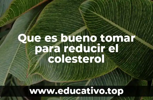 Que es bueno tomar para reducir el colesterol