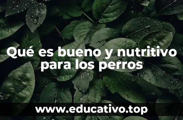 Qué es bueno y nutritivo para los perros