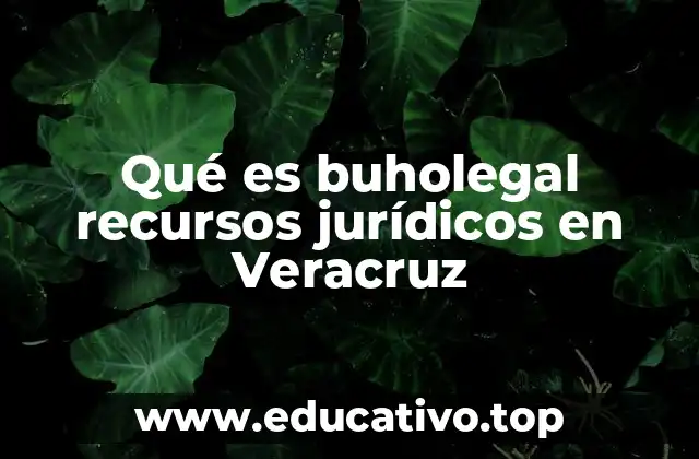 Qué es buholegal recursos jurídicos en Veracruz