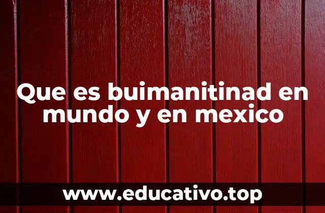 Que es buimanitinad en mundo y en mexico