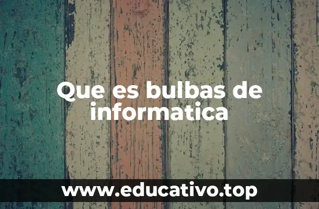 Que es bulbas de informatica