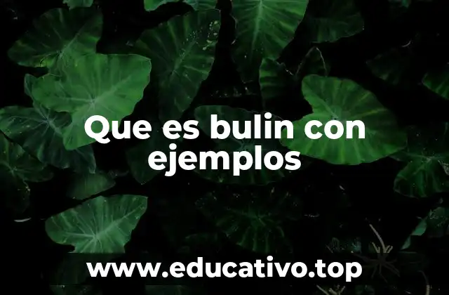 Que es bulin con ejemplos