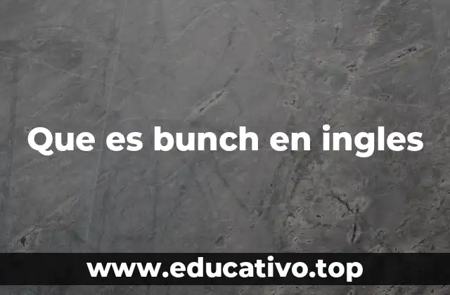 Que es bunch en ingles