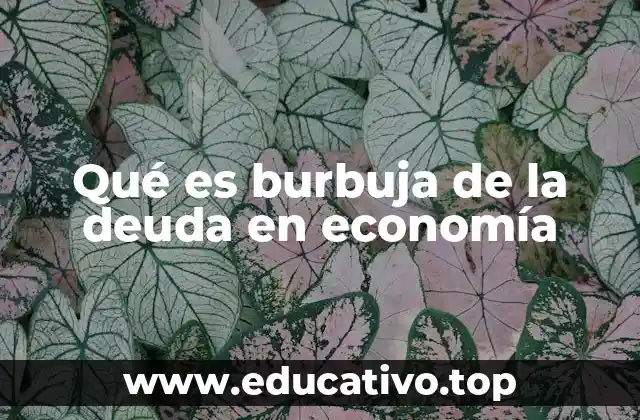 Qué es burbuja de la deuda en economía