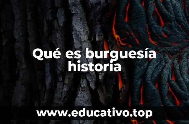 Qué es burguesía historia
