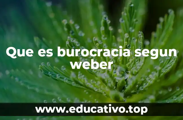 La visión de Weber sobre la organización moderna