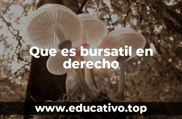 Que es bursatil en derecho