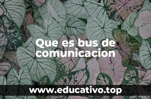 Que es bus de comunicacion