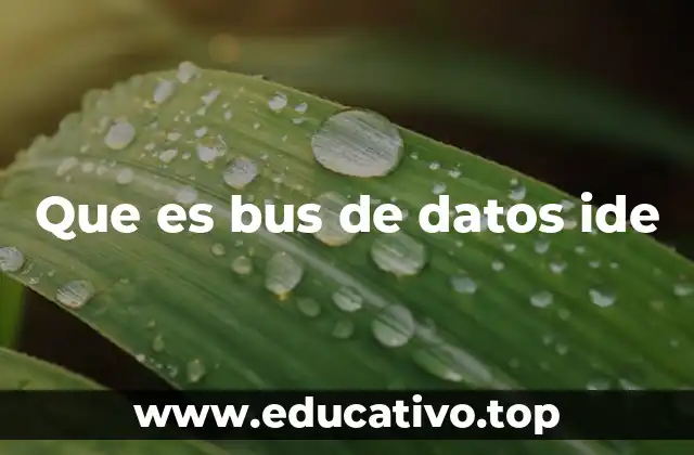 Que es bus de datos ide