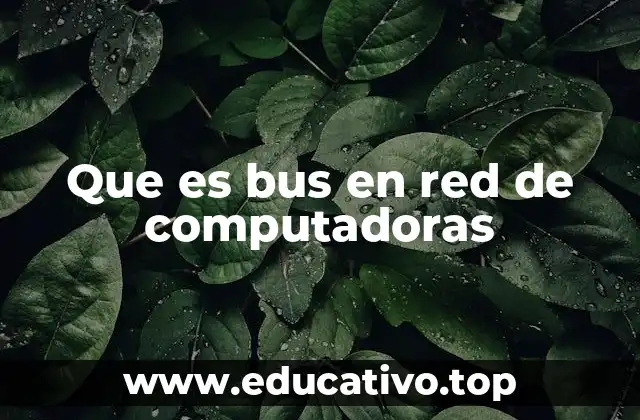 Que es bus en red de computadoras