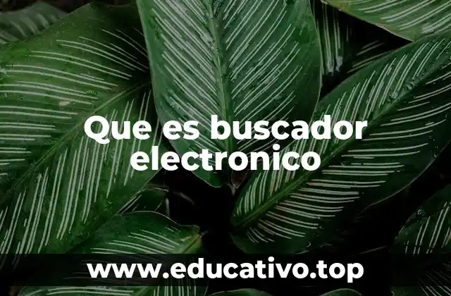 Que es buscador electronico