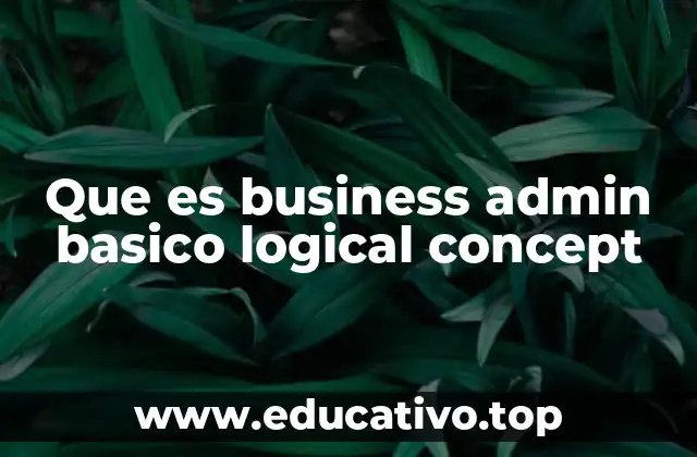 Que es business admin basico logical concept
