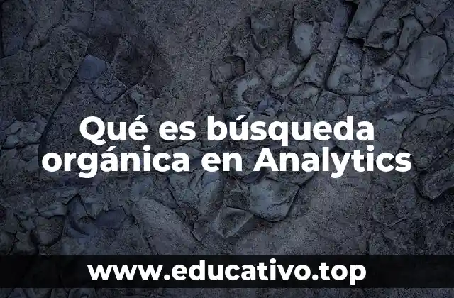 Qué es búsqueda orgánica en Analytics