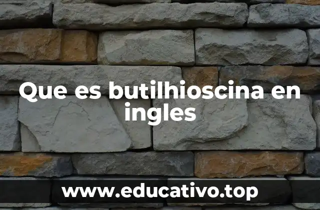 Que es butilhioscina en ingles