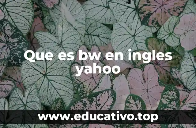 Que es bw en ingles yahoo