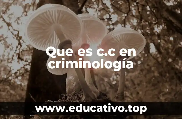 Que es c.c en criminología