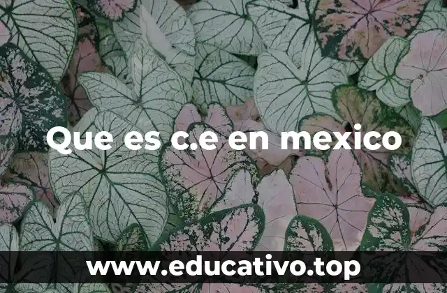 Que es c.e en mexico