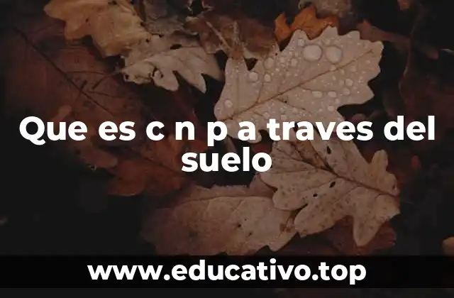 La dinámica de los elementos esenciales en el suelo