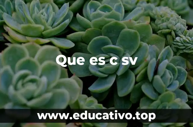 Historia y evolución del lenguaje C++