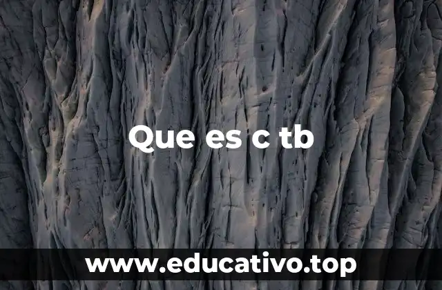 El uso de c tb en el lenguaje digital