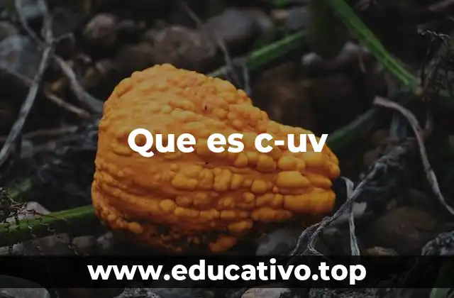 La importancia de medir la vitamina D en sangre