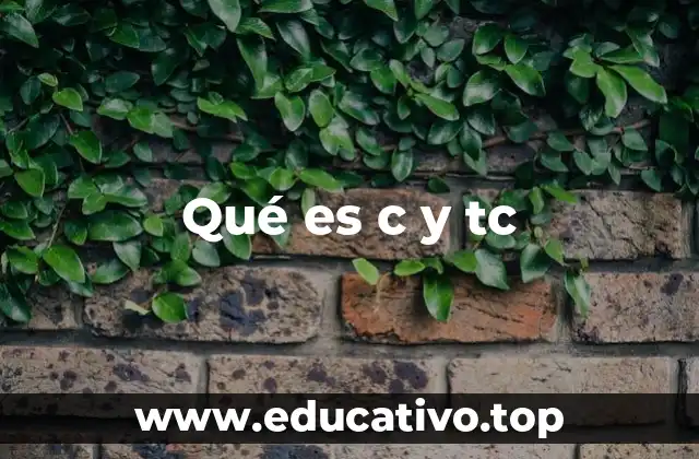 Qué es c y tc