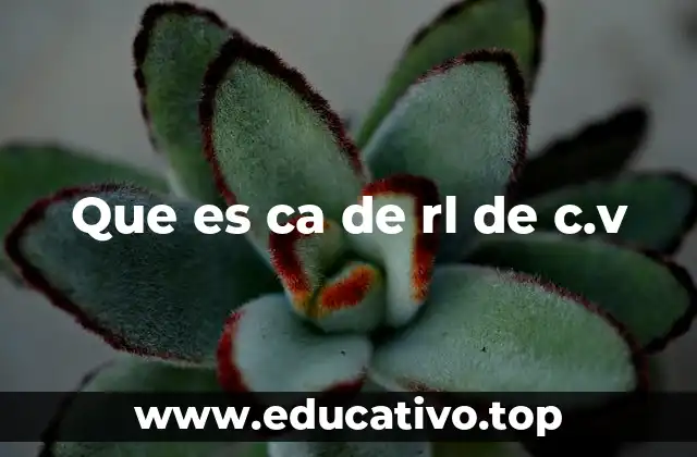 Que es ca de rl de c.v