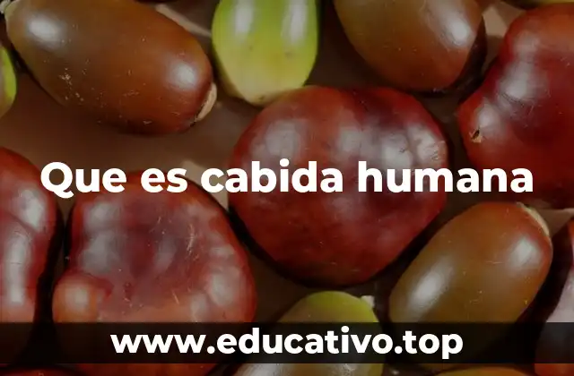 Que es cabida humana
