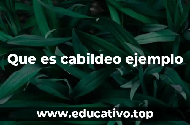 Que es cabildeo ejemplo