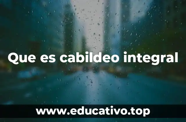 Que es cabildeo integral