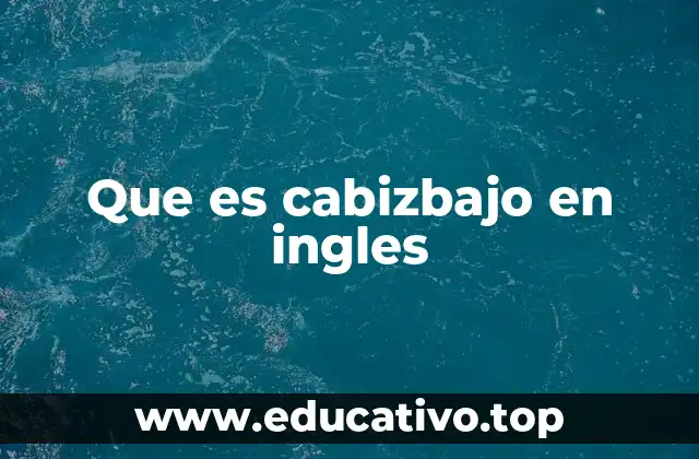 Que es cabizbajo en ingles