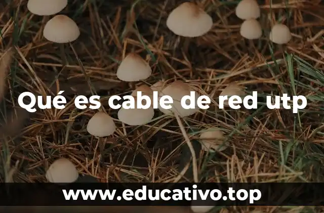 Qué es cable de red utp