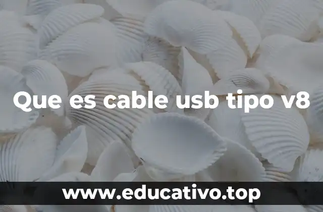 Que es cable usb tipo v8