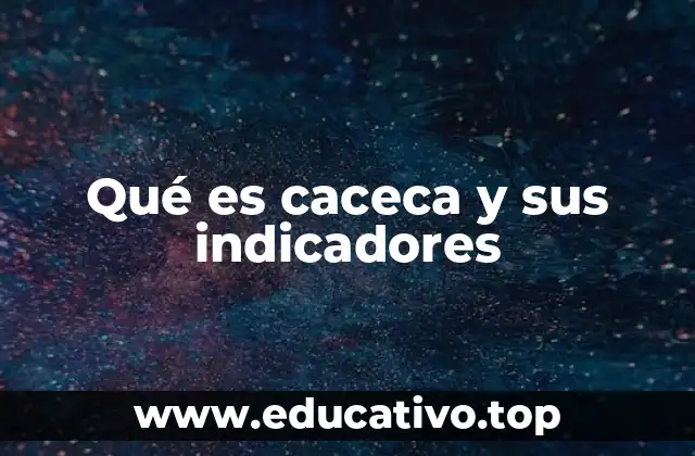 Qué es caceca y sus indicadores