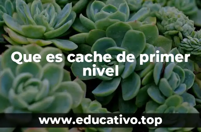 Que es cache de primer nivel