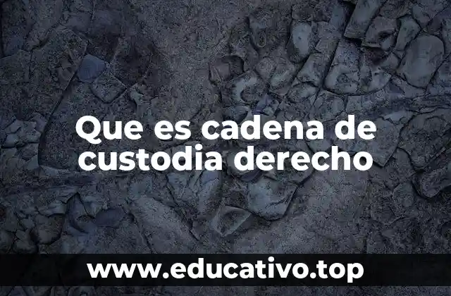 Que es cadena de custodia derecho