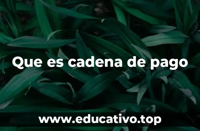 Que es cadena de pago