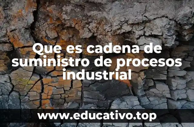 Que es cadena de suministro de procesos industrial