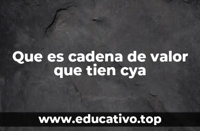 Que es cadena de valor que tien cya