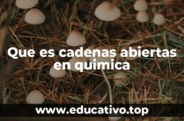 Que es cadenas abiertas en quimica