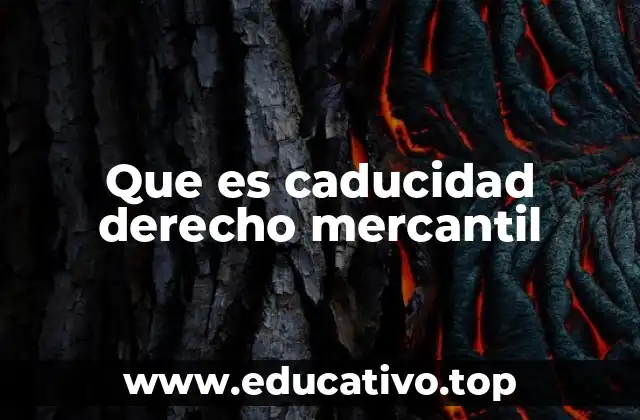 Que es caducidad derecho mercantil