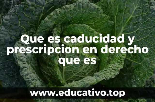 Que es caducidad y prescripcion en derecho que es