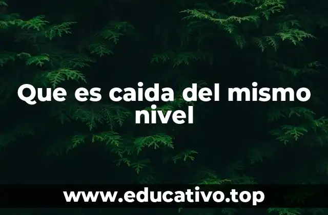 Que es caida del mismo nivel