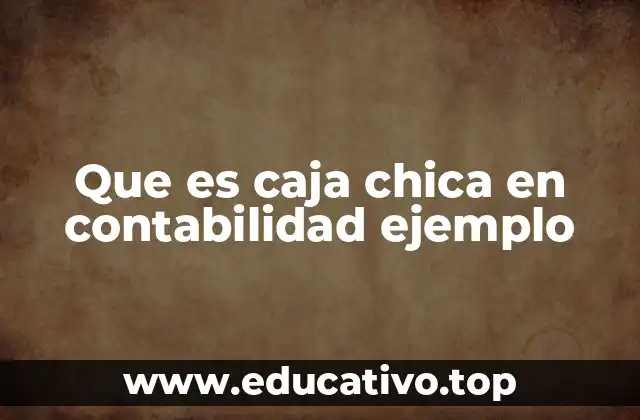 Que es caja chica en contabilidad ejemplo