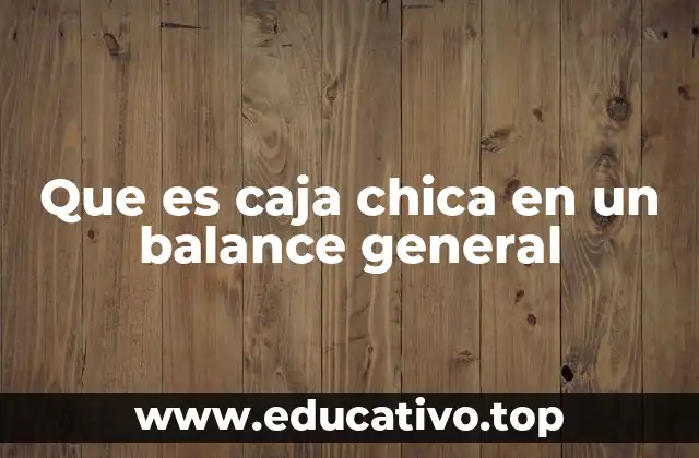 Que es caja chica en un balance general