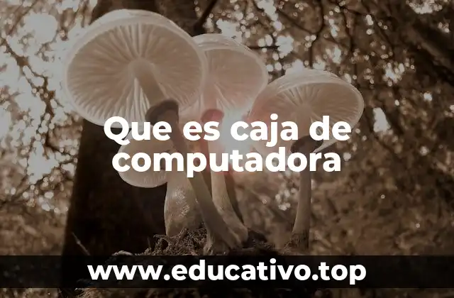Que es caja de computadora
