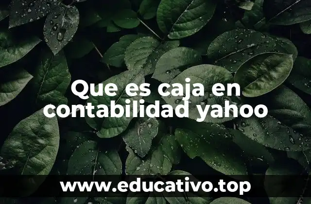 Que es caja en contabilidad yahoo