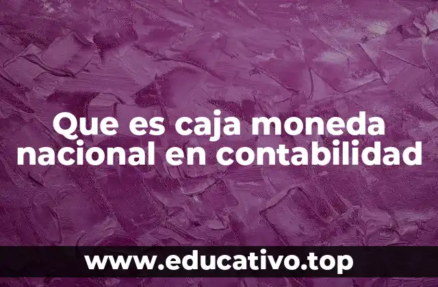 Que es caja moneda nacional en contabilidad