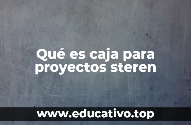 Qué es caja para proyectos steren